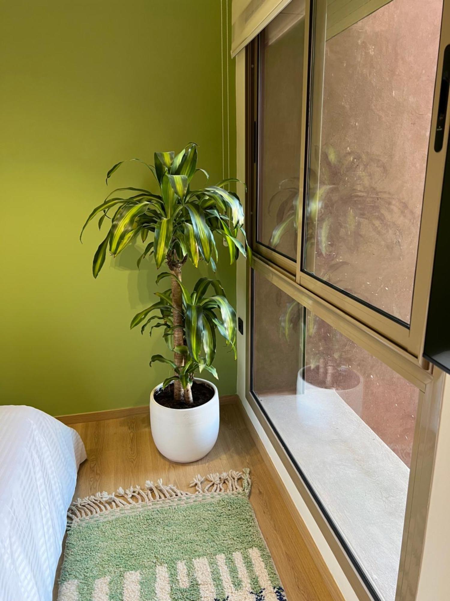 מרקש Luxe Appartement A Louer Pour Les Familles מראה חיצוני תמונה